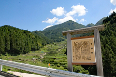 �l�J�̐疇�c�i�t�j